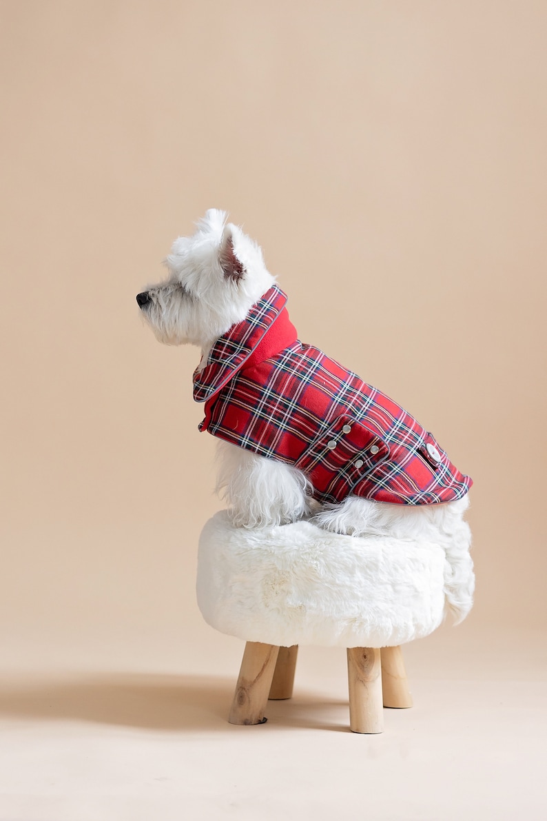 Plaid Dog COAT Scottish Dog Winter Clothes Monogrammed Dog Etsy
