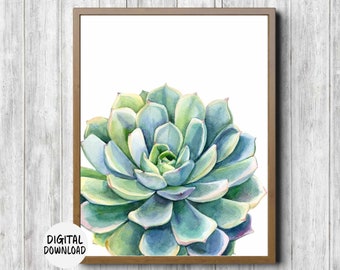 Watercolor Succulent Bathroom /Nursery /Office /Kitchen Wall Art - Botanical / Plant Printable Poster- 18 x 24, 16 x 20, 11 x 14, 8 x 10