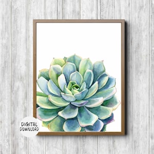 Watercolor Succulent Bathroom /Nursery /Office /Kitchen Wall Art - Botanical / Plant Printable Poster- 18 x 24, 16 x 20, 11 x 14, 8 x 10