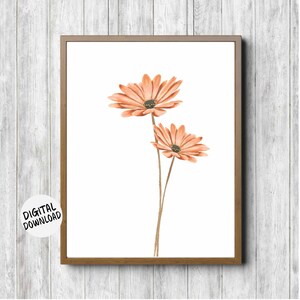 printable wall art of two watercolor gerbera daisies with long stems