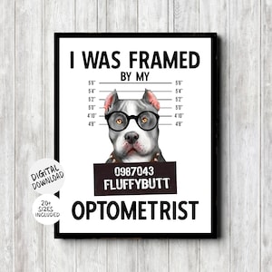 May include: A white and black printable poster with a gray and white pit bull wearing glasses. The poster says "I was framed by my 0987043 FLUFFYBUTT OPTOMETRIST".