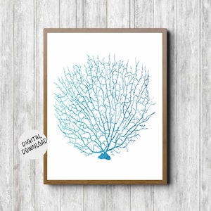 Printable Fan Coral Wall Art Turquoise / Blue Sea Coral Wall Decor Poster Sea Creatures Office Wall Art image 1