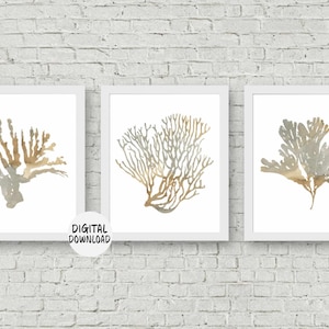 8 X 10 Nautical Set Of 3 Art Prints - Neutral Nursery Wall Art Printable - Seaweed / Sea Coral Poster - Watercolor Bathroom Decor