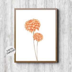 Watercolor Dahlia Printable Art - Orange Flowers Wall Art - Nursery / Girls Room Poster - Office Wall Decor - Simple Flower Print - Digital