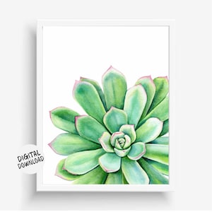 Printable Succulent Wall Art Gift - Watercolor Botanical Download - Office /Nursery /Bathroom Decor