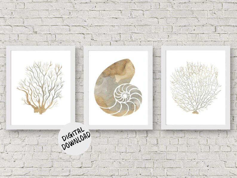 Sea Life Set of 3 Art Prints Printable Watercolor Nautilus / - Etsy