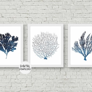 Set Of 3 Sea Coral Art Set - Fan Coral /Seaweed Printable Wall Art - Watercolor Coral Poster- Office Wall Art- Beach Themed Decor- Dark Blue
