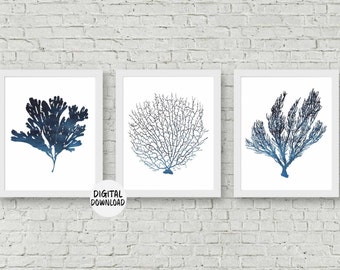 Set Of 3 Sea Coral Art Set - Fan Coral /Seaweed Printable Wall Art - Watercolor Coral Poster- Office Wall Art- Beach Themed Decor- Dark Blue