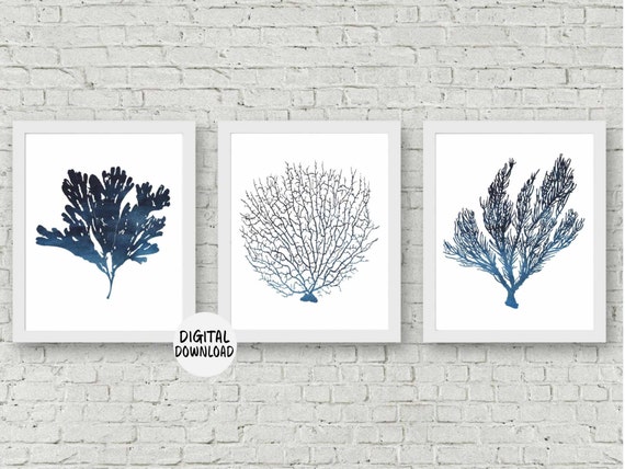 Set of 3 Sea Coral Art Set Fan Coral /seaweed Printable Wall Art Watercolor  Coral Poster Office Wall Art Beach Themed Decor Dark Blue - Etsy Singapore