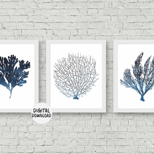 Fan Coral - Etsy