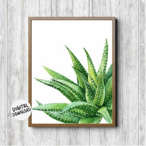 Aloe Vera Succulent Printable Wall Decor - Office /Nursery /Bedroom /Bathroom Wall Art - Watercolor Green Plant Print