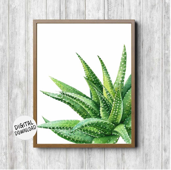 Aloe Vera Sukkulente Wanddekoration - Bro /Kinderzimmer /Schlafzimmer  /Badezimmer Wandkunst - Aquarell Grne Pflanze - Etsy.de
