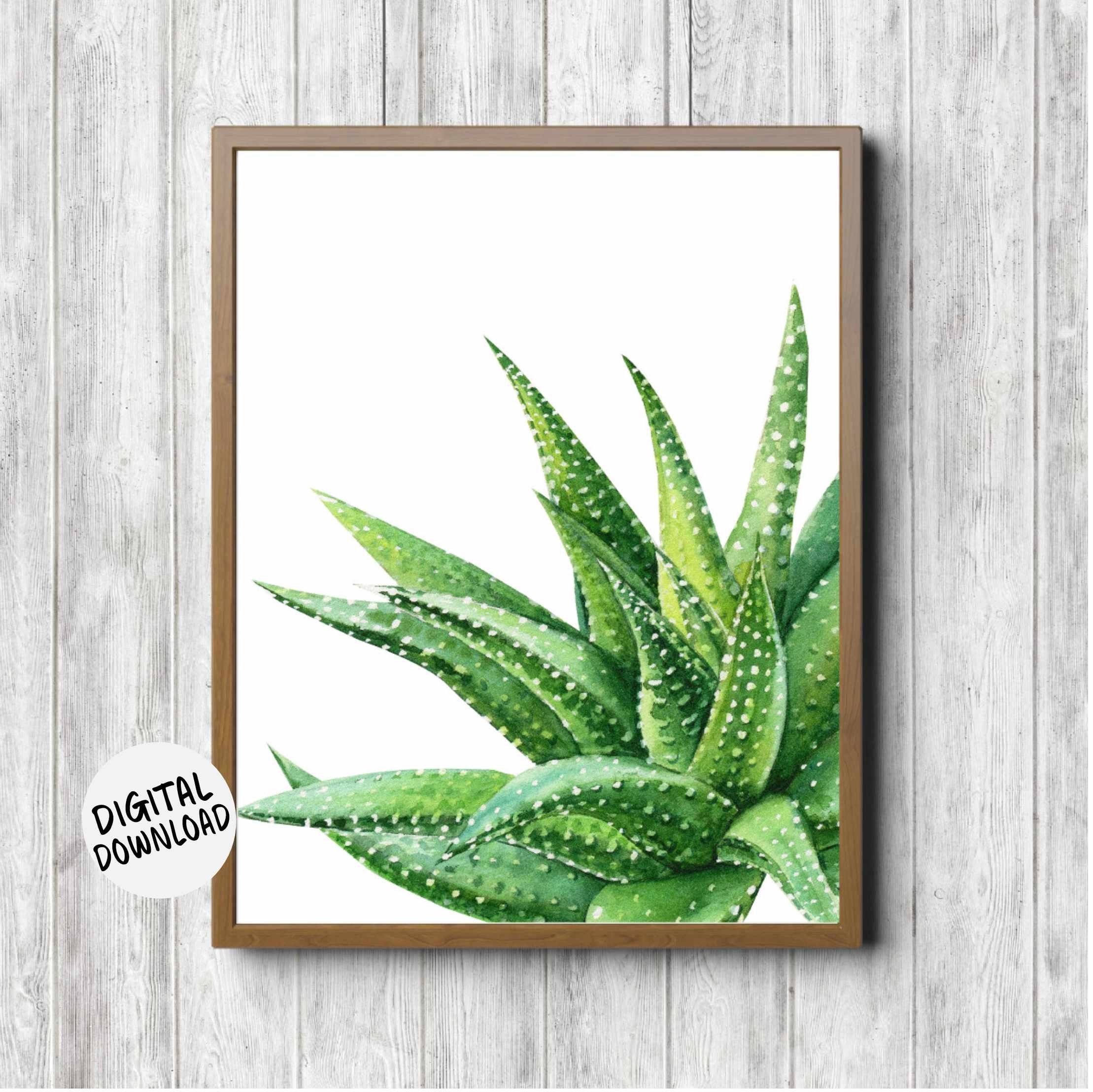 Aloe Vera Succulent Printable Wall Decor - Office /Nursery /Bedroom  /Bathroom Wall Art - Watercolor Green Plant Print