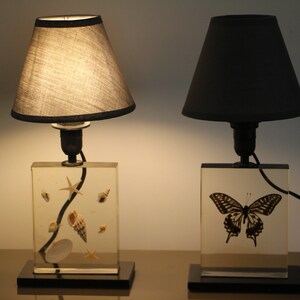 May include: Two table lamps with black lampshades. The lamp on the left has a clear glass base with seashells embedded in it. The lamp on the right has a clear glass base with a butterfly embedded in it.