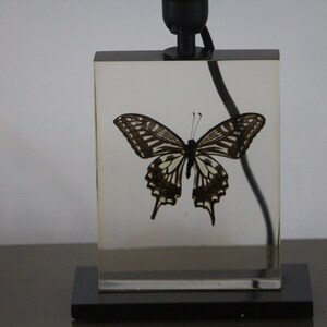 May include: A black and white butterfly encased in a clear acrylic block, mounted on a black base. The butterfly is a common species with black wings and white stripes.