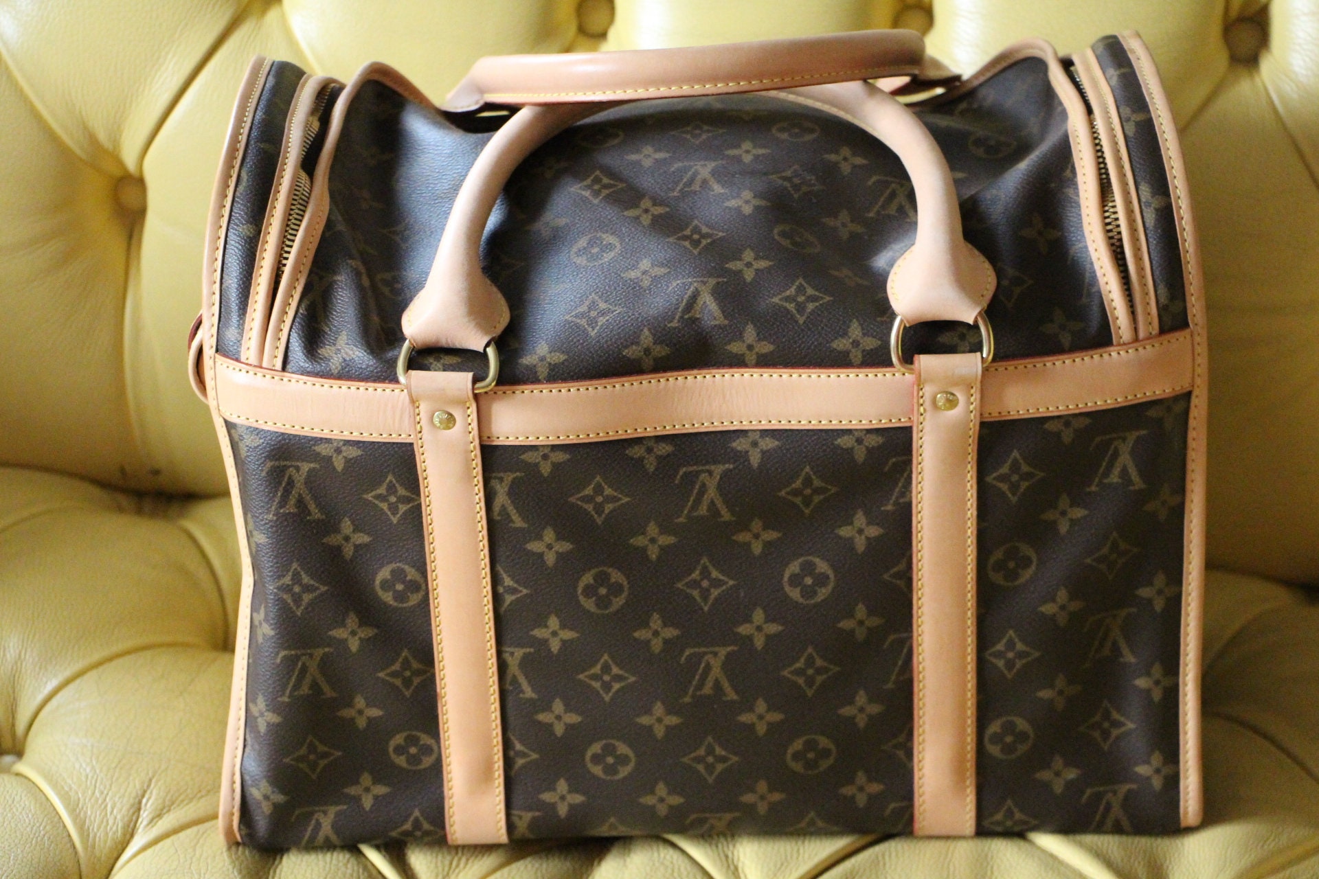 Louis Vuitton Dog Bag 40 Cm -  Israel