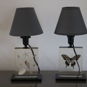 May include: Two table lamps with gray lampshades. The bases are clear acrylic blocks with a butterfly and seashells embedded inside.