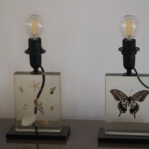 May include: Two table lamps with clear glass bases. The base of the lamp on the left contains seashells and a starfish. The base of the lamp on the right contains a butterfly.