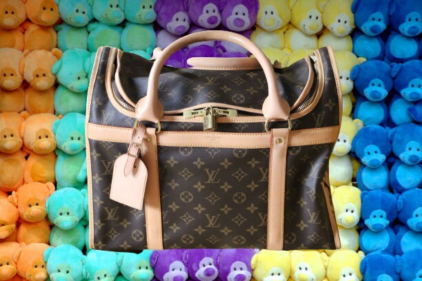 Louis Vuitton Hund Katze Haustier tragen Sack Chien40 Sack Cyan40  Handtasche M.42024 Leinwand ref.205092 - Joli Closet