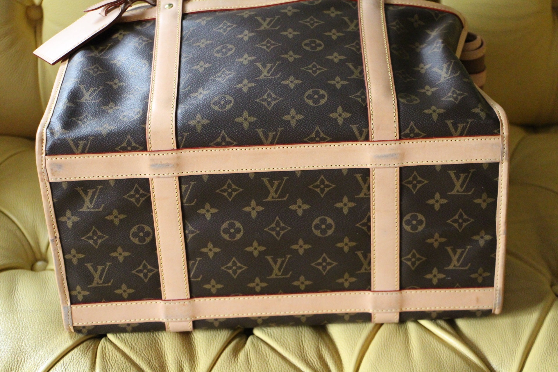 Louis Vuitton Dog Carriers & Totes