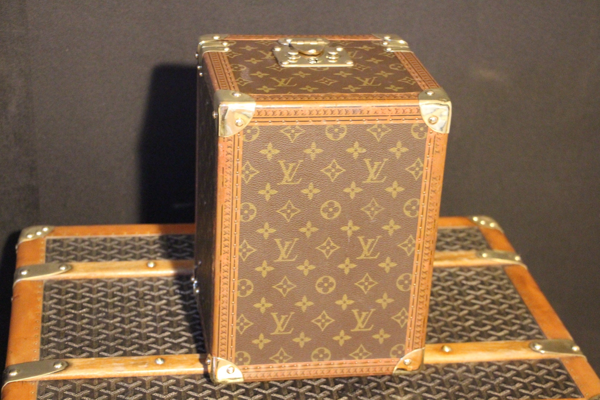 LOUIS VUITTON Monogram Beauty Train Case 160822