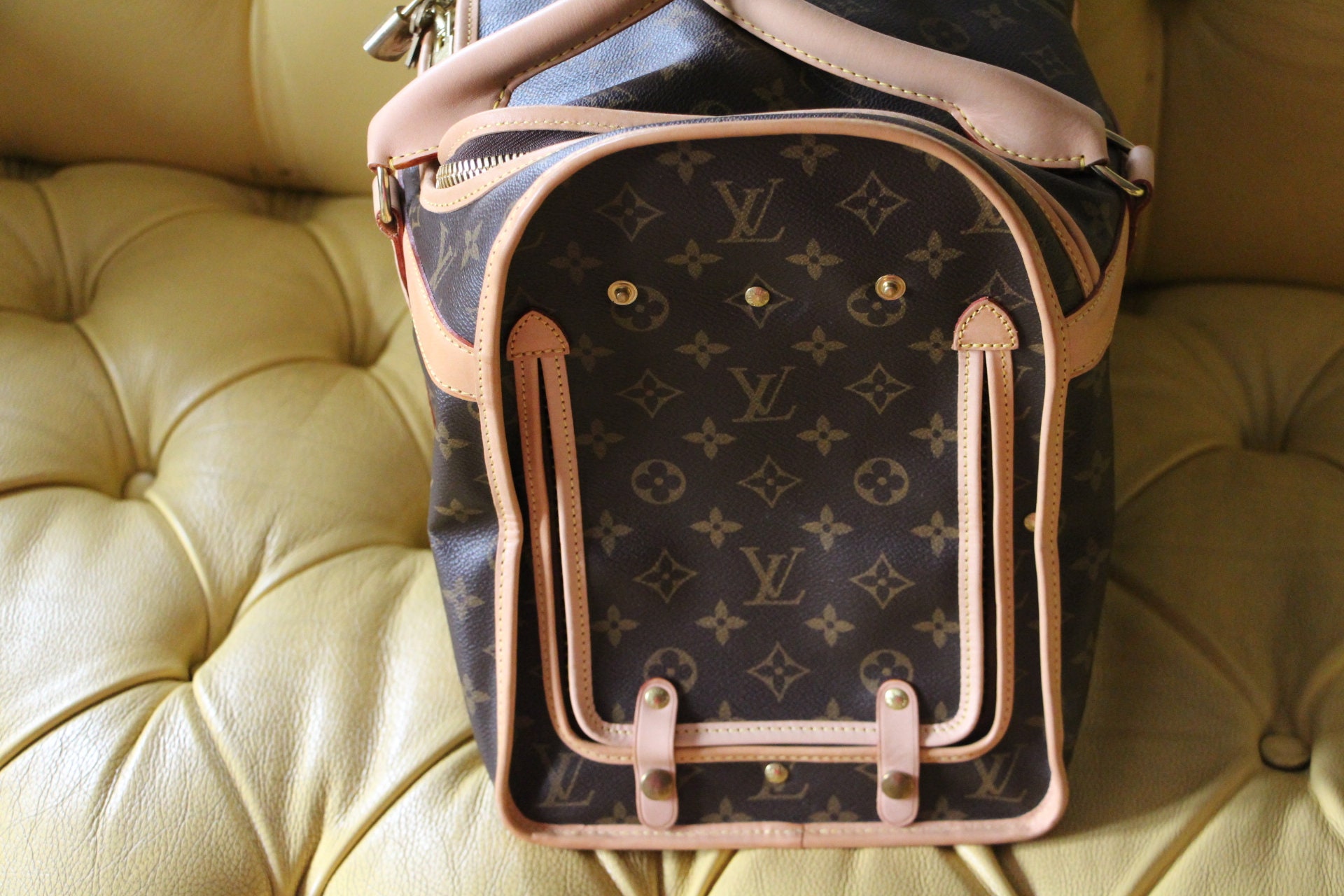 dog louis vuitton backpack