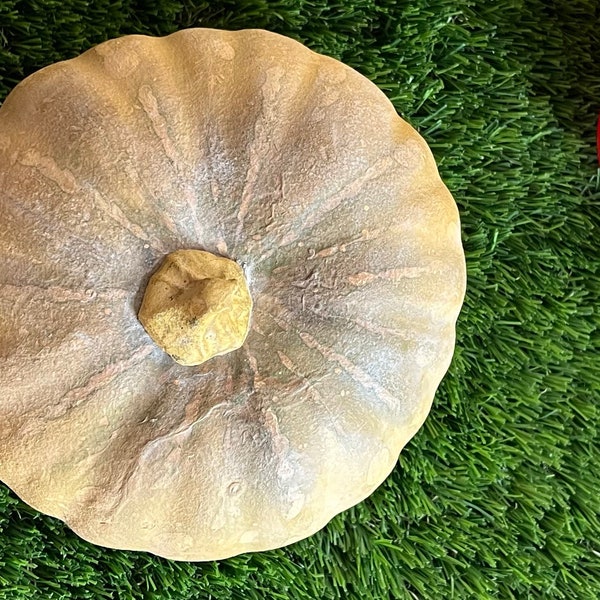 One Large Polystyrene Gourd / Pumpkin