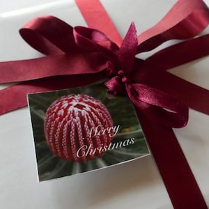 Nouvel An de Noel tous les événements faits main salutation photos étiquettes cadeau avec la flore et la faune australiennes, fleurs sauvages, plages, tags de vacances