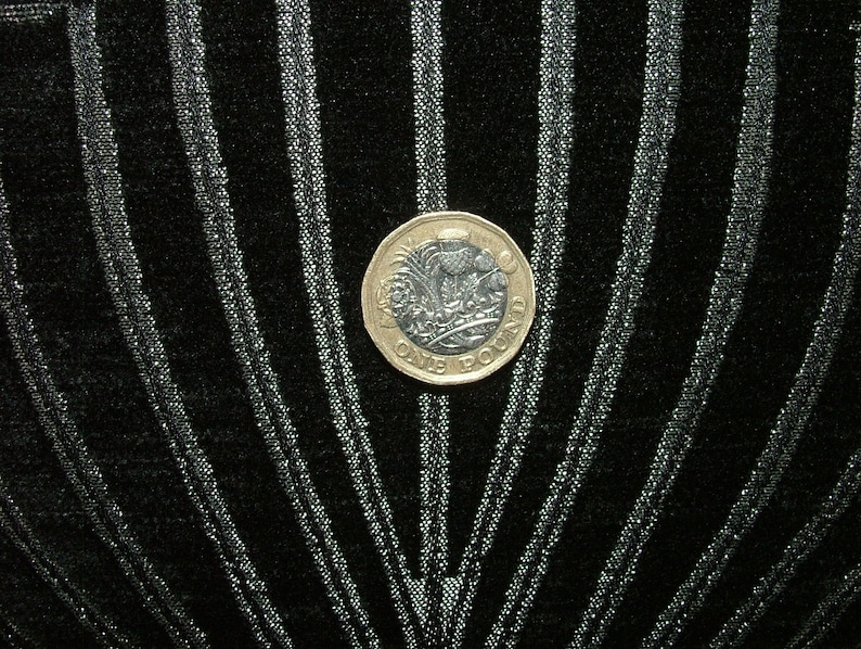 May include: A silver British one pound coin with a design of a thistle flower and the words "One Pound" on a black background with silver stripes.