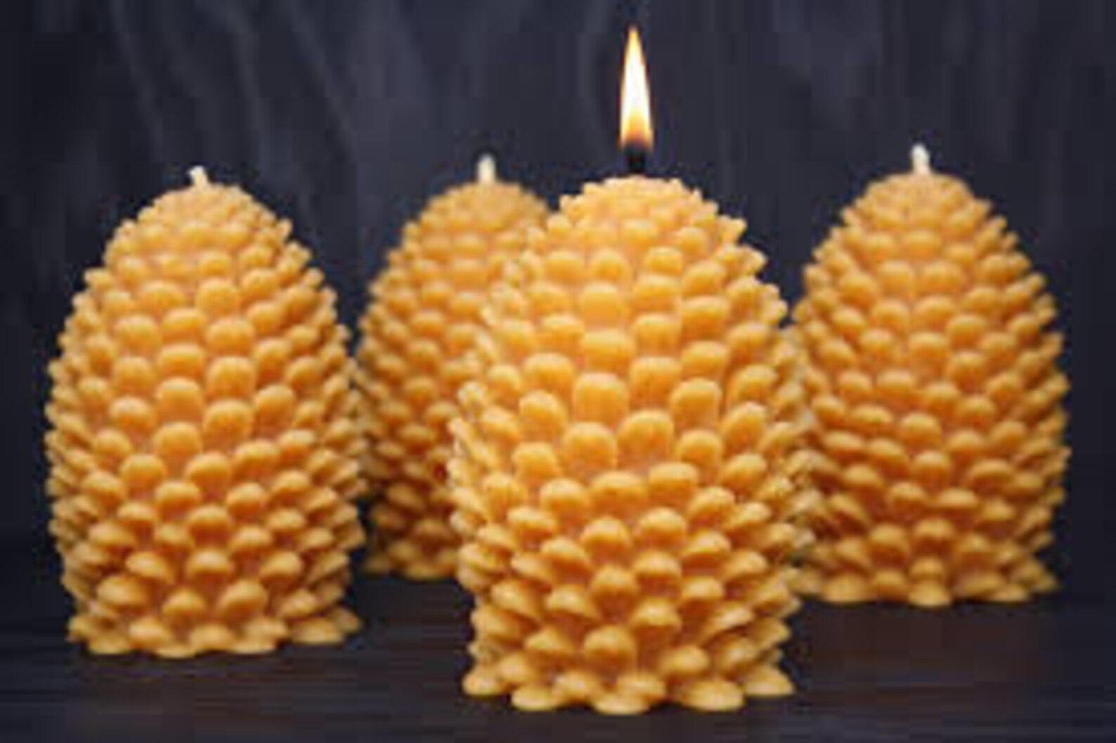 Pine Cone Beeswax Candle - Etsy