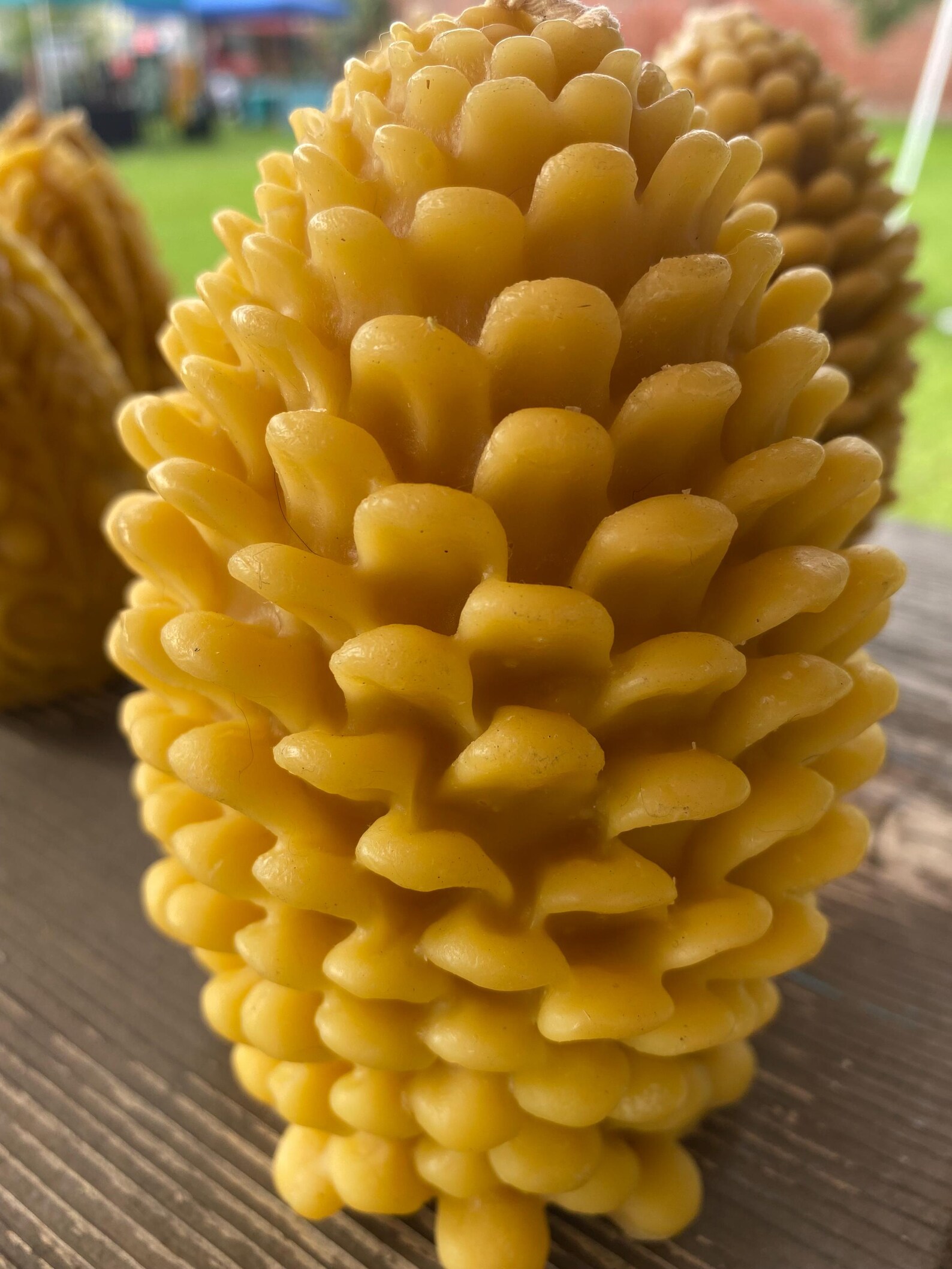 Pine Cone Beeswax Candle - Etsy