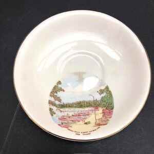 Single Vintage Crown Devon Fieldings Prince Albert National Park Teacup Saucer Replacement