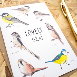 Carte de voeux beaux seins//carte de Saint-Valentin//Saint-Valentin drôle//carte amour drôle//carte oiseau drôle//illustration oiseau britannique