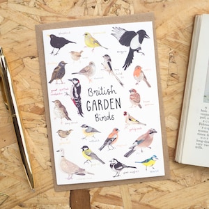 British Garden Birds Greetings Card // Blank Card // Birds Card