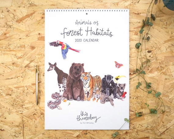 Illustrated 2020 Calendar // A3 Animals of Forest Habitats Calendar // Illustrated Animal Calendar