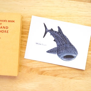 Whale Shark Illustration Print // A6 Print Postcard // Sea Animals // Nursery Bedroom Decor // Sea Life Animal Print