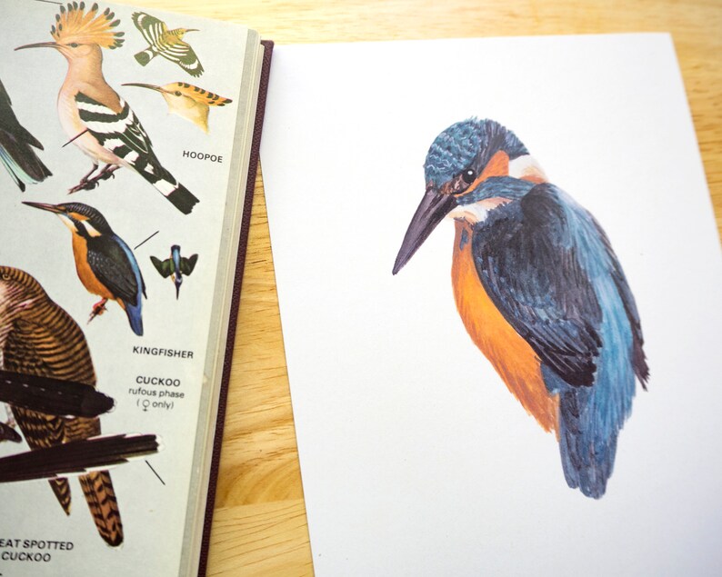 May include: A close-up of a colorful illustration of a kingfisher bird. The bird is perched on a branch and has a blue and orange body with a long, pointed beak.