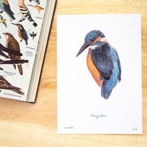 May include: A watercolor painting of a kingfisher bird with blue and orange feathers. The painting is signed "V Hughes" and dated "2018".
