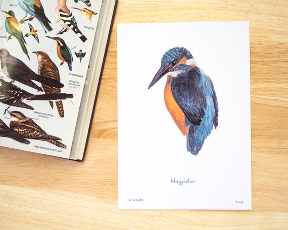 Kingfisher Goache Painted A5 Print // Painting Art Print of Birds // Colourful Kingfisher Bird Painting Illustration