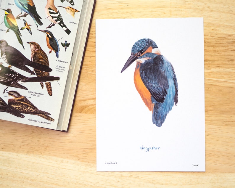 May include: A watercolor painting of a kingfisher bird with blue and orange feathers. The painting is signed "V Hughes" and dated "2018".