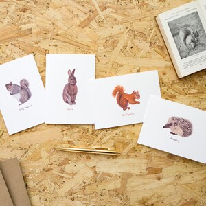 British Wildlife Card Pack // Cartes vierges de luxe // Ensemble de cartes pour animaux // Pack de cartes de notes de 4