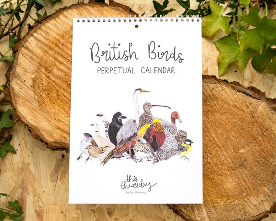 British Birds Perpetual Calendar // A4 Birthdays and Anniversaries Calendar // Illustrated Bird Calendar