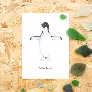 Adelie Penguin Illustration Print // A6 Mini Print Postcard // Sea Birds // Nursery Bedroom Decor // Animal Print // Penguin