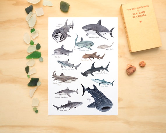 Sharks A4 or A3 Print // Painting Art Print of Sharks // Sea Creature Painting // Shark Painting Print