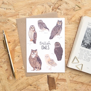 May include: A greeting card featuring watercolor illustrations of various British owl species, including short-eared, little, and long-eared owls. The card is on a wooden surface with a pen and a book with a bookmark.