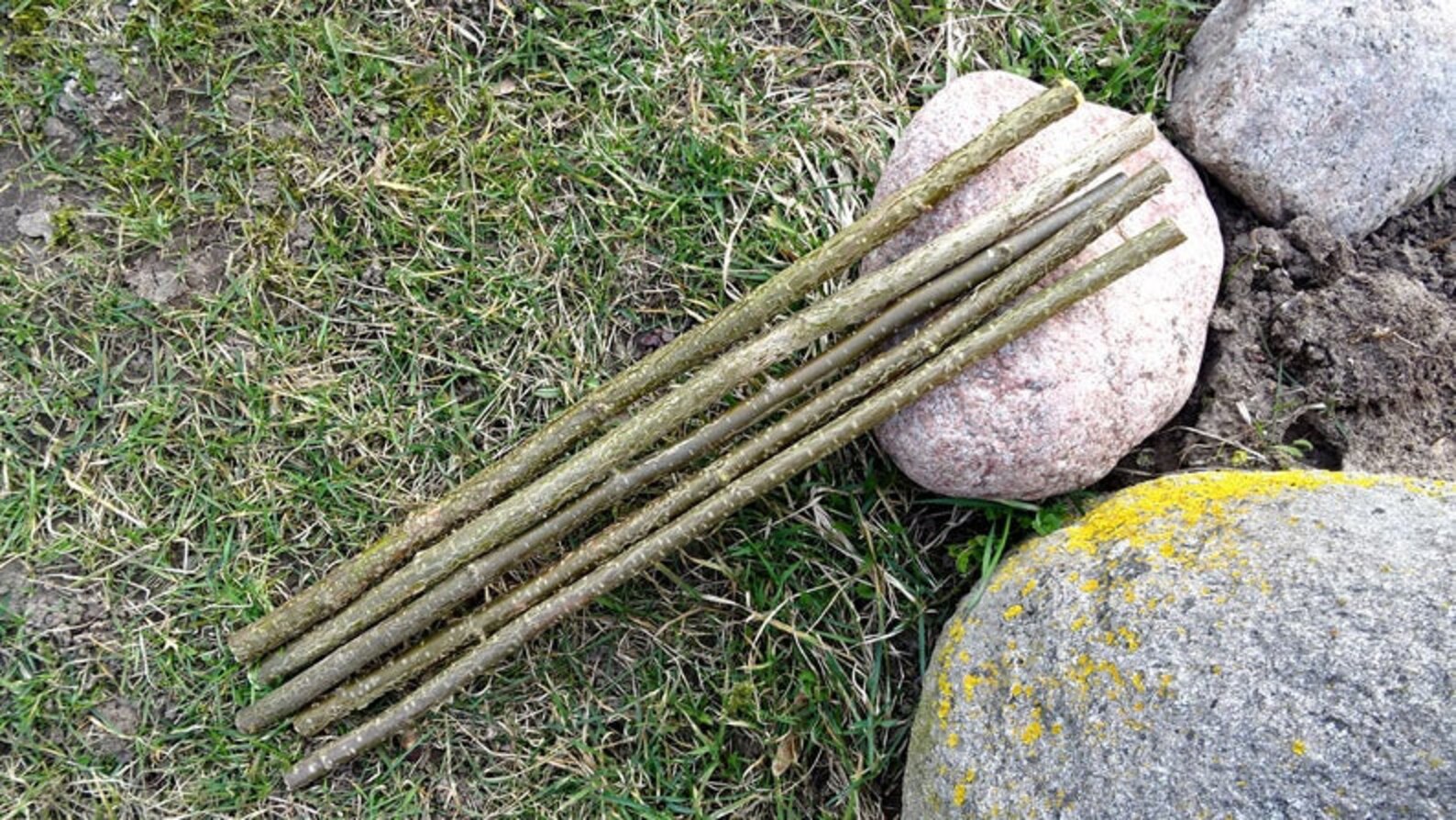 hazel stick to attach thatched roofs