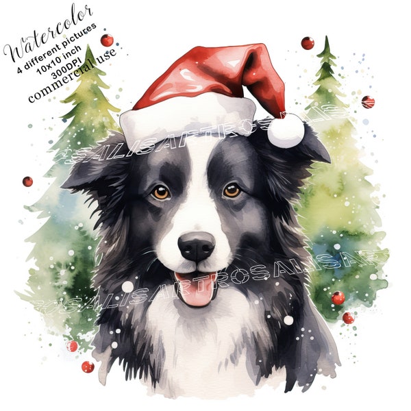 Christmas Border Collie Portrait 4 High Quality Watercolor JPGs Digital Download Commercial Use Dog Art