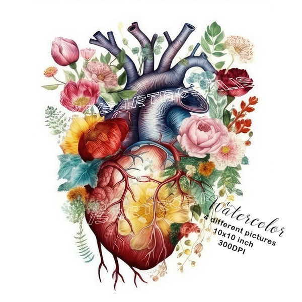 Heart with flowers clipart digital download heart anatomy medical art floral heart 4 high quality watercolor JPGs commercial use