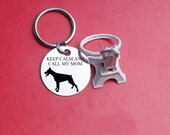 Pet id tag, Pet Dog Tag, Metal dog tag, Dog collar tag, Custom two-sides Dog Tag, Gift box, Pet Tag, personal, Metal necklace