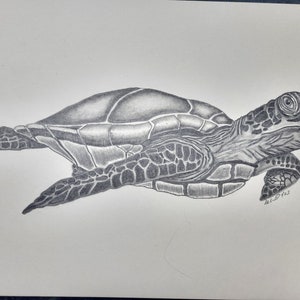 Drawings